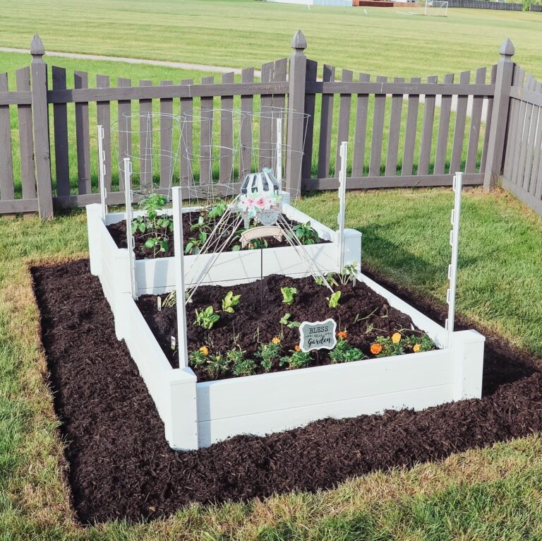 Raised Bed Vegetable Garden Spacing at Virginia Perry blog