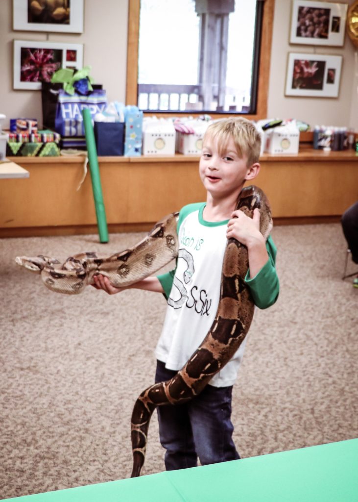 Take Your Next Birthday Party From Ordinary to Extraordinary- A Snake ...