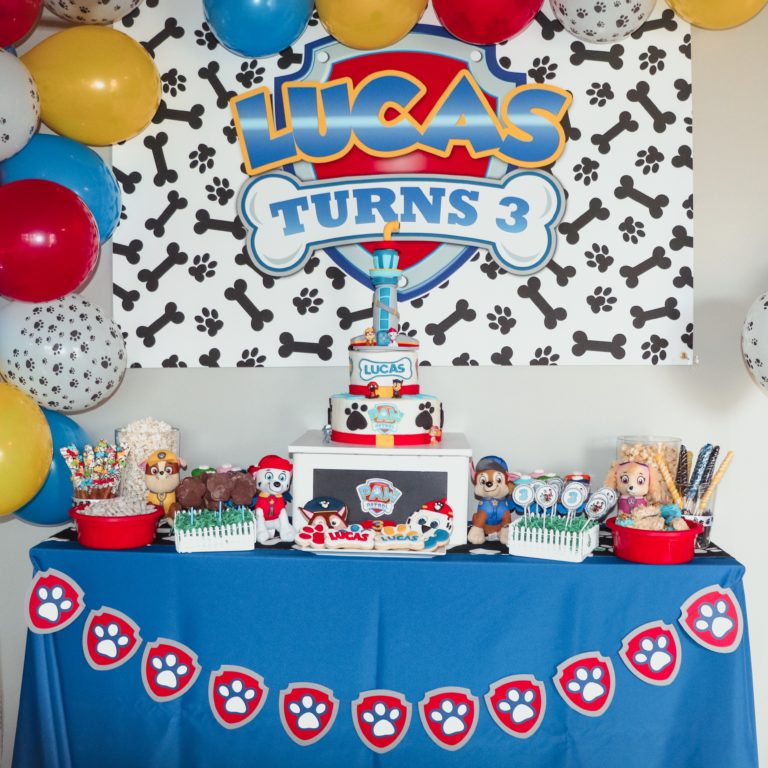 Paw Patrol Birthday Party With An Adopt A Pet Rescue