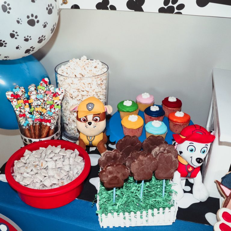 Paw Patrol Birthday Party With An Adopt A Pet Rescue