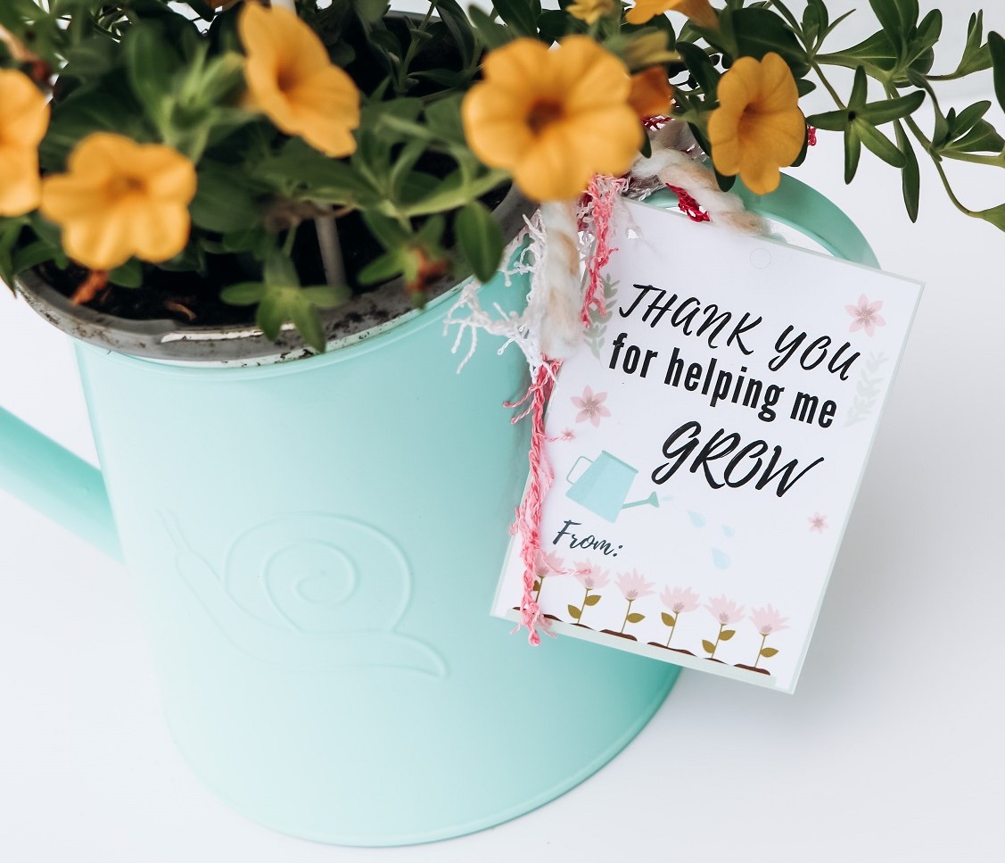 6 TEACHER APPRECIATION GIFT CARD IDEAS WITH FREE PRINTABLES